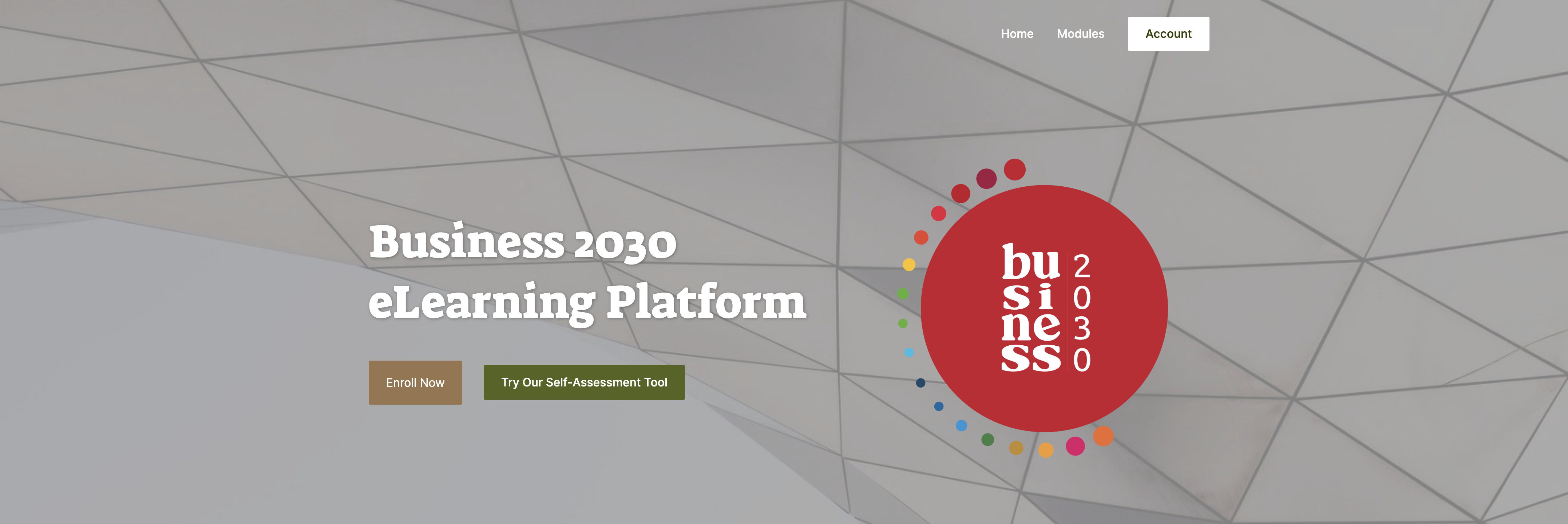 Project Result 3: the Business2030 MOOC